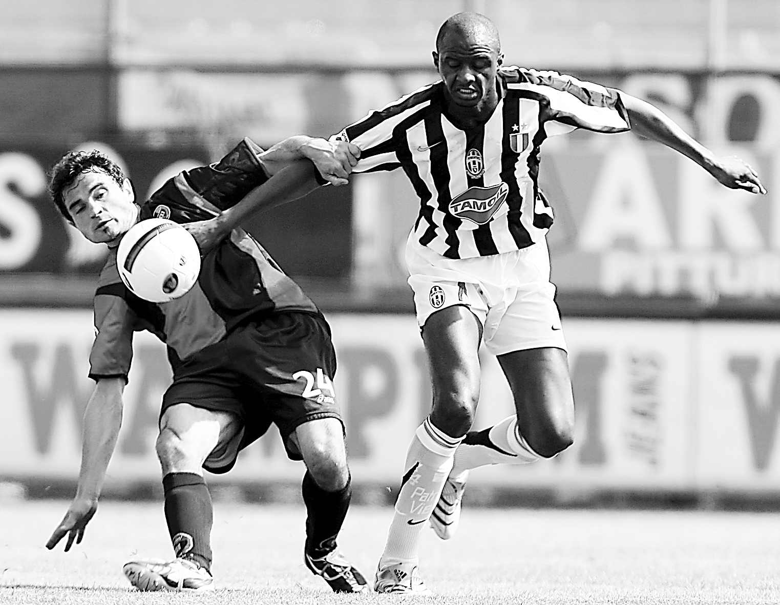 成一条颇具 成一条颇具